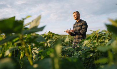 COVID-19 E O AGRO: conheça estratégias para minimizar os impactos da crise no campo.