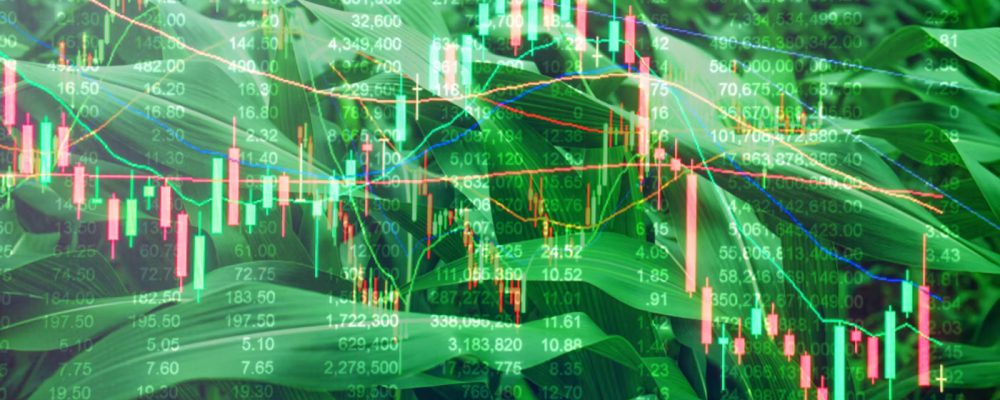 COVID-19 E O AGRO: entenda o impacto da pandemia nas principais commodities brasileiras.