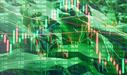 COVID-19 E O AGRO: entenda o impacto da pandemia nas principais commodities brasileiras.