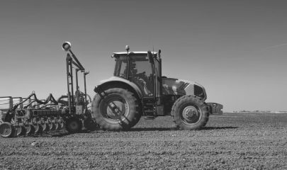 Culturas de inverno como realizar um plantio eficiente