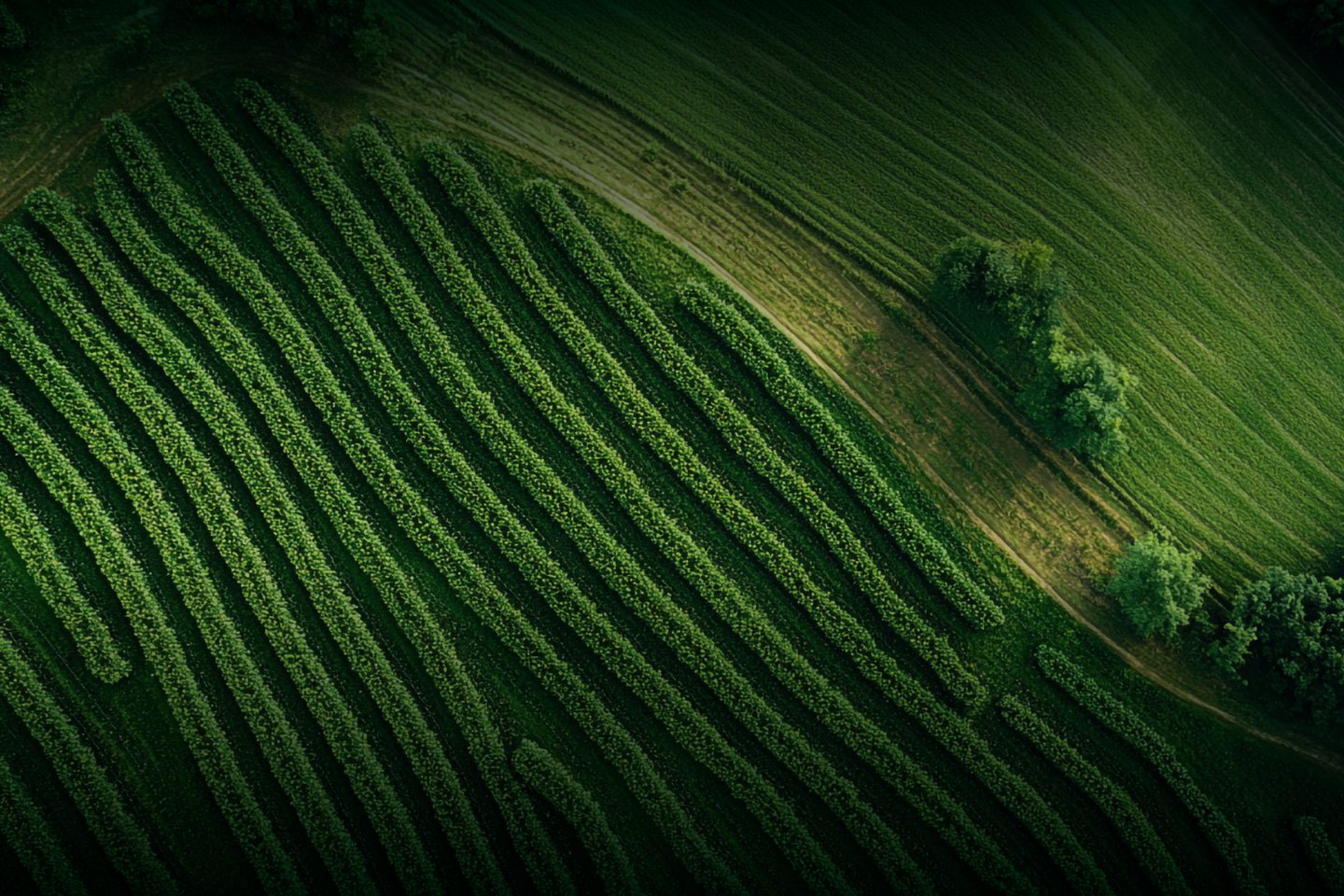 Agrosystem