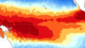 Clima em 2026: o que esperar do El NINO e o que o produtor precisa monitorar